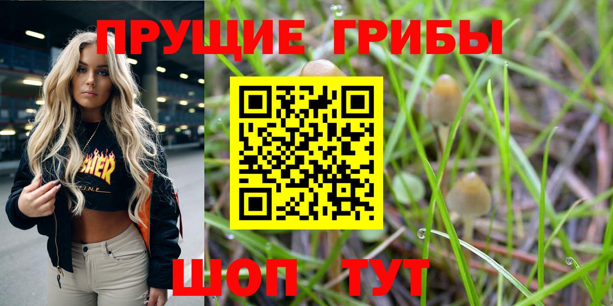 Псилоцибиновые грибы мицелий Советск