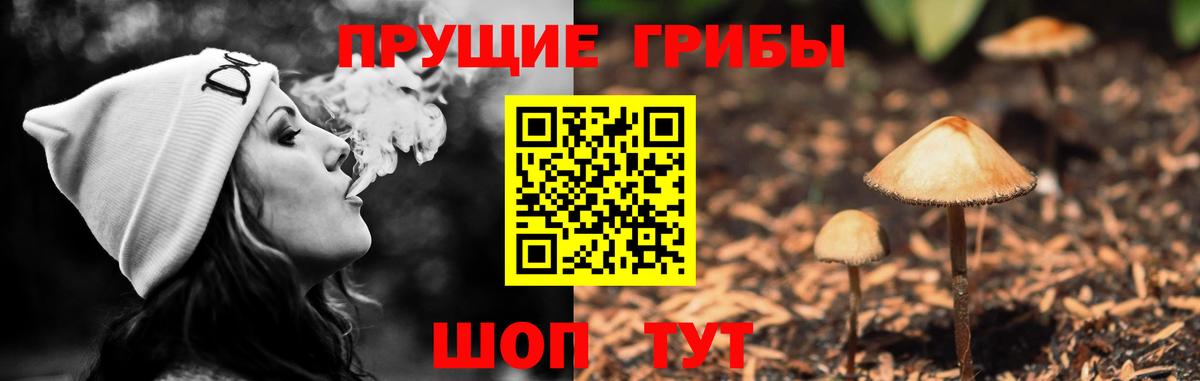 Советск  Галлюциногенные грибы Psilocybine cubensis  Вход с VPN  Галлюциногенные грибы MAGIC MUSHROOMS 
